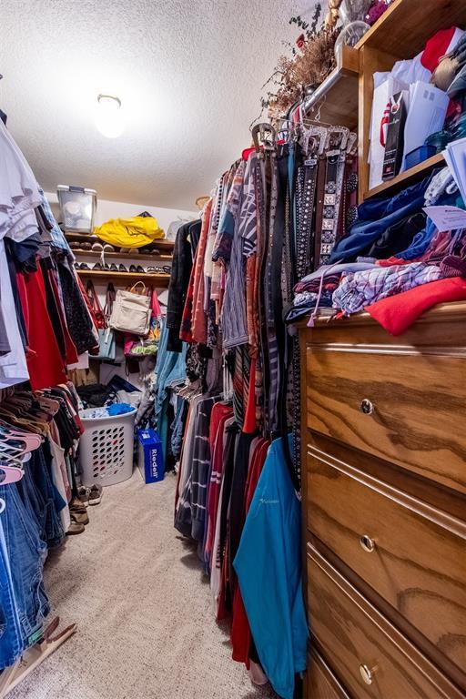 spacious closet featuring carpet flooring