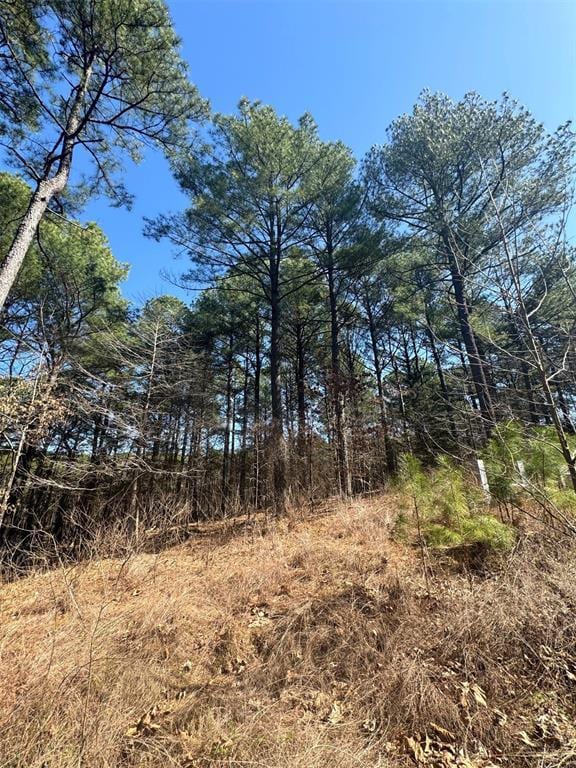 87 Blue Maple Trl, Broken Bow OK, 74728 land for sale