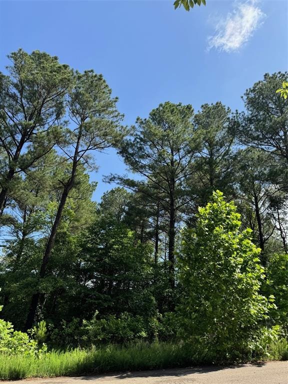 87 Blue Maple Trl, Broken Bow, OK 74728
