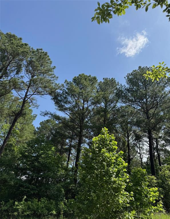 87 Blue Maple Trl, Broken Bow, OK 74728