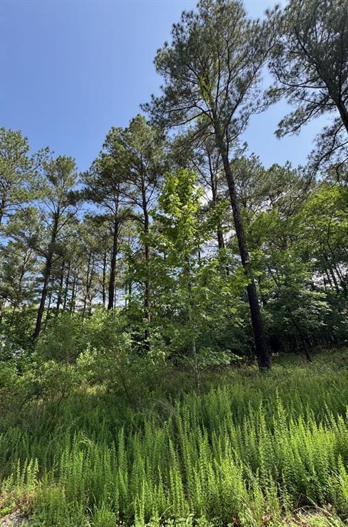 87 Blue Maple Trl, Broken Bow, OK 74728