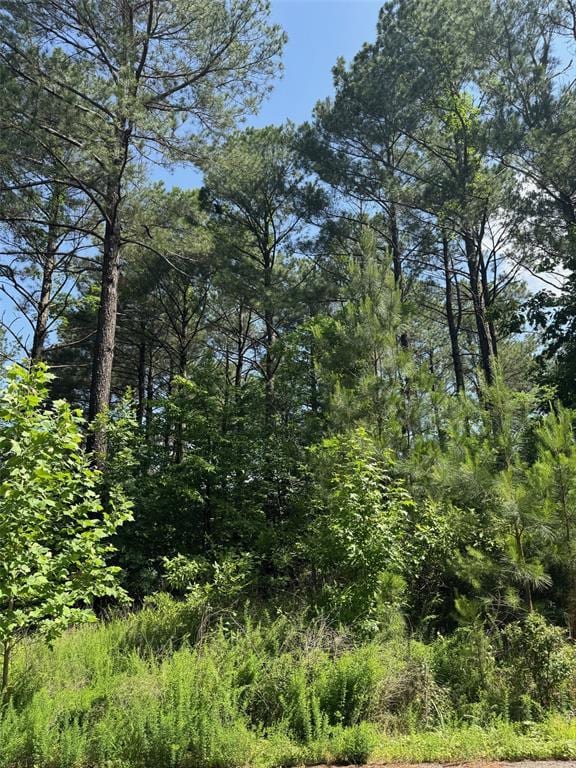 87 Blue Maple Trl, Broken Bow, OK 74728