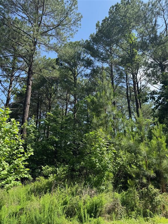 87 Blue Maple Trl, Broken Bow, OK 74728