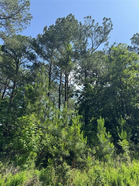 87 Blue Maple Trl, Broken Bow, OK 74728