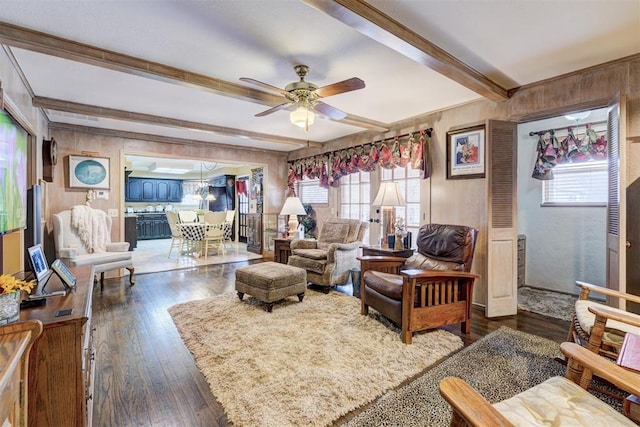 living room with beamed ceiling, dark wood-type flooring, and ceiling fan