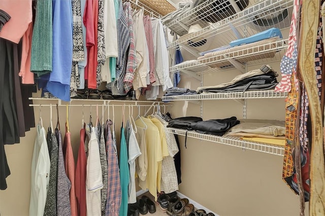 view of spacious closet