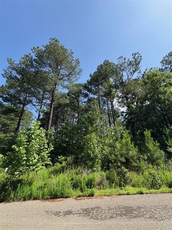49 Blue Maple Trl, Broken Bow, OK 74728