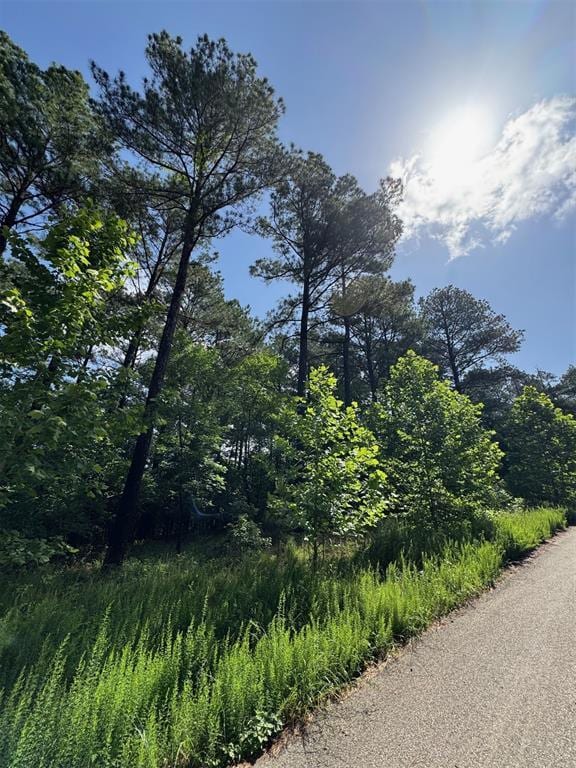 49 Blue Maple Trl, Broken Bow, OK 74728