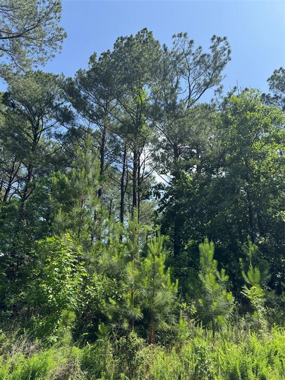 49 Blue Maple Trl, Broken Bow, OK 74728