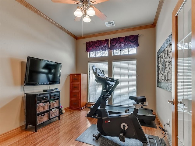 workout area with visible vents, a ceiling fan, wood finished floors, and crown molding