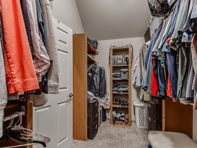 spacious closet featuring carpet