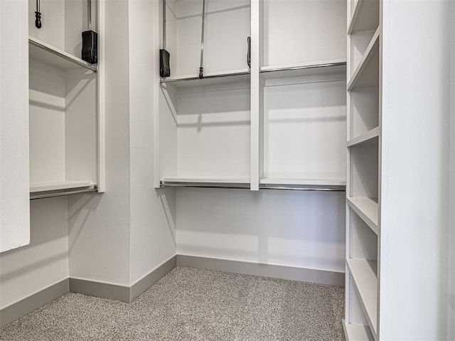 spacious closet featuring carpet