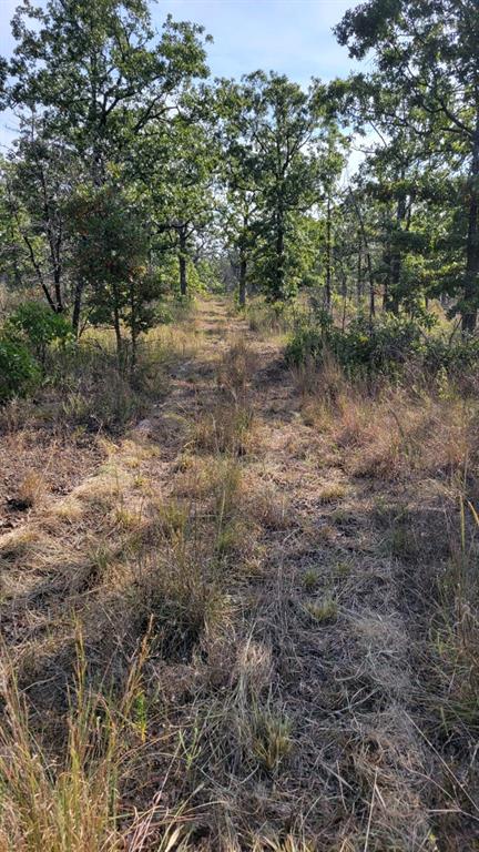 Road Road, Dustin, OK 74839