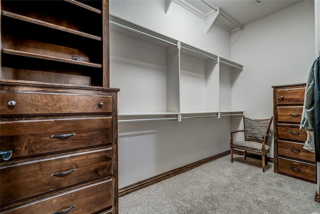 spacious closet featuring carpet flooring