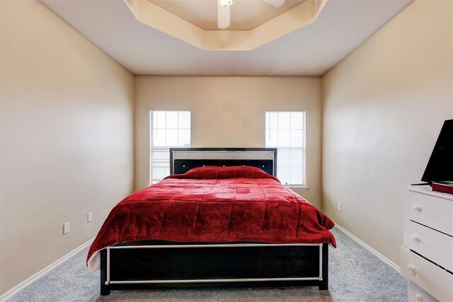 636 NW 112th St, Oklahoma City, OK 73114 - carpeted bedroom featuring a tray ceiling, multiple windows, and baseboards