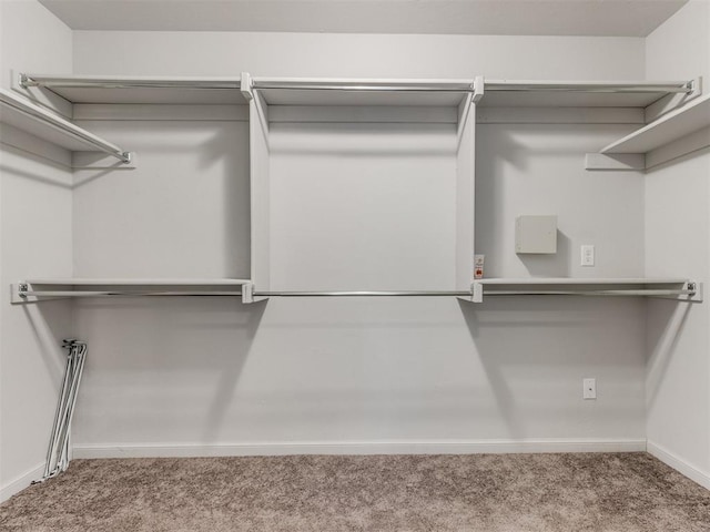 294 Emmy Jean Dr, Blanchard, OK 73010 - walk in closet with carpet