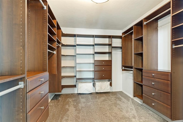 walk in closet featuring carpet floors