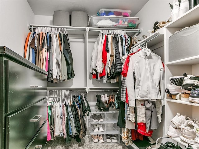 spacious closet featuring carpet floors