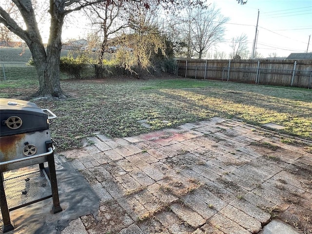 view of yard featuring fence private yard and a patio area