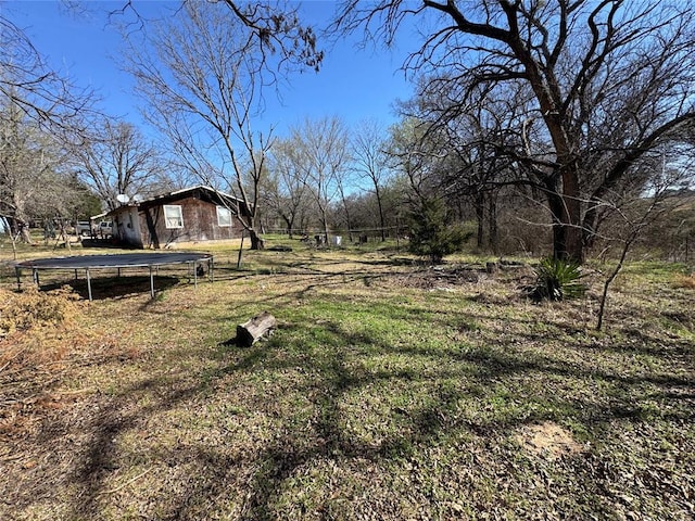 view of yard with a trampoline