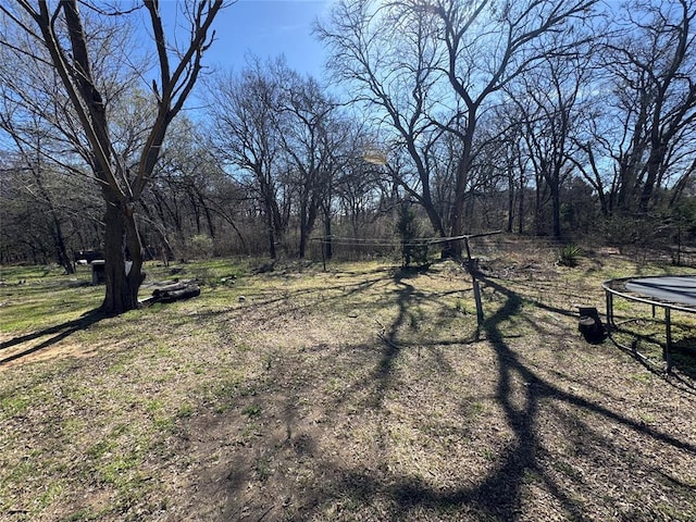 view of yard featuring a trampoline