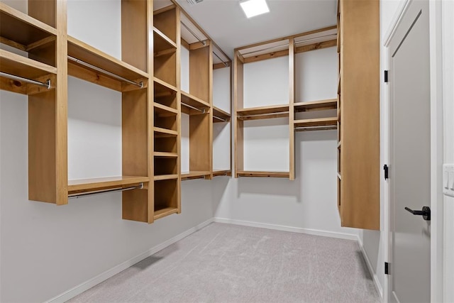 spacious closet featuring carpet flooring