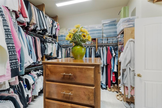 view of spacious closet