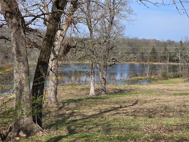 property view of water