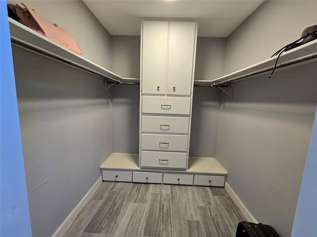 walk in closet featuring wood finished floors