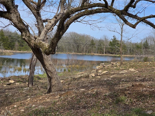 view of water feature with a wooded view