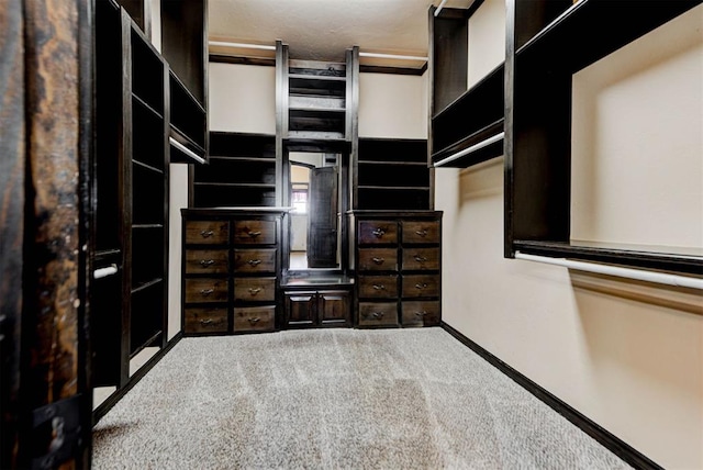 spacious closet with carpet