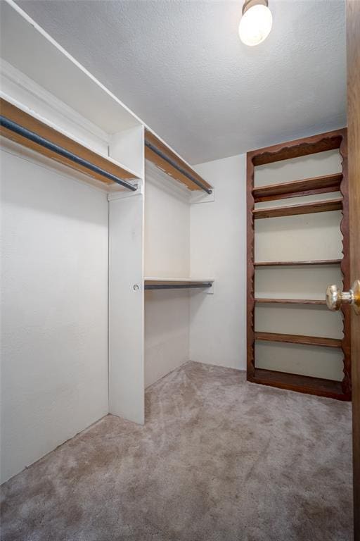 walk in closet with carpet flooring