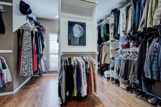 spacious closet featuring wood finished floors