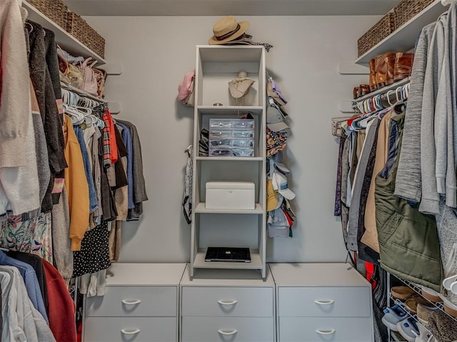 view of spacious closet