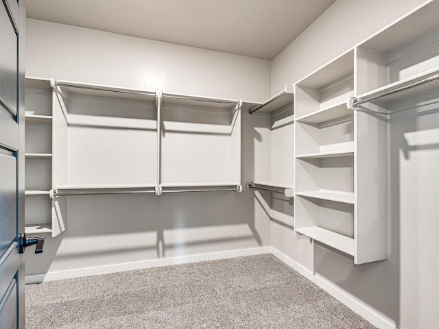 walk in closet with carpet