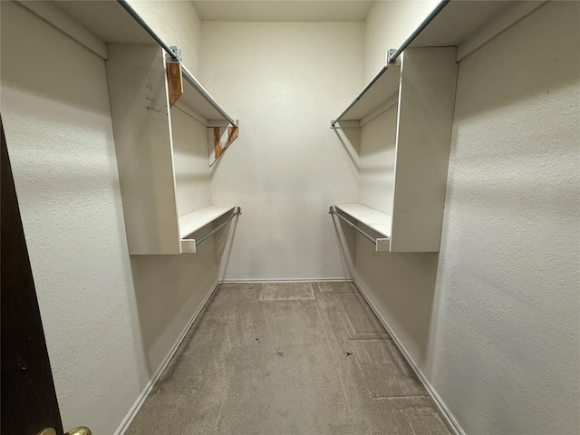 spacious closet with light carpet