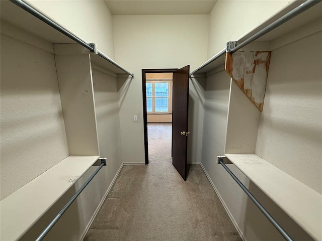 spacious closet featuring carpet flooring