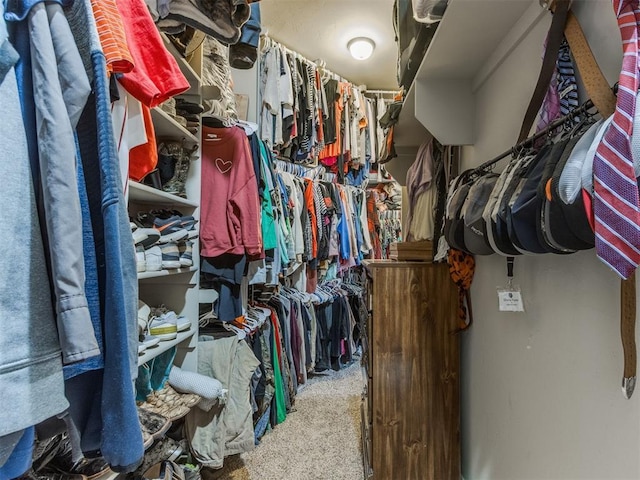 walk in closet with carpet flooring