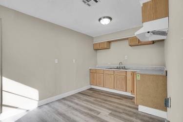 kitchen with visible vents, under cabinet range hood, a sink, light wood-style floors, and light countertops