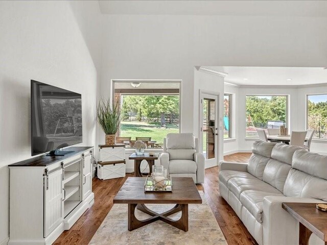 living room featuring wood finished floors