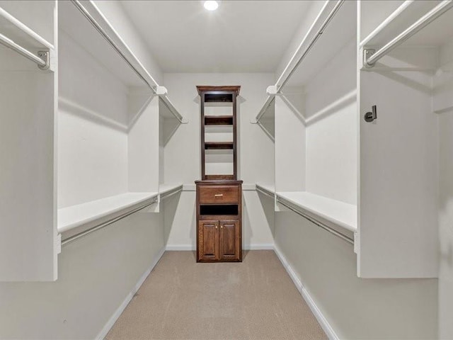 spacious closet with light carpet