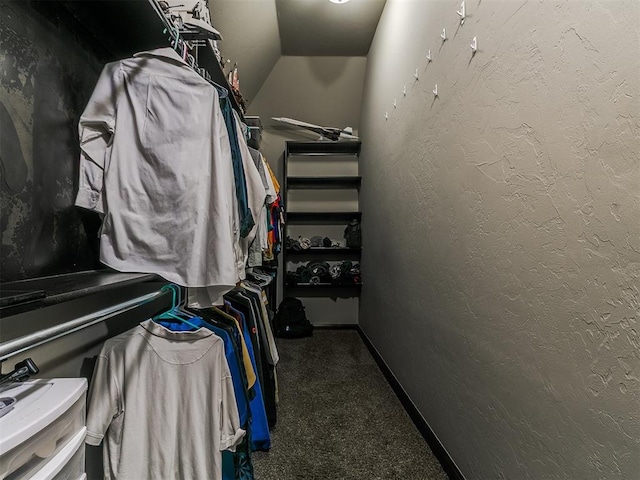 spacious closet featuring carpet floors