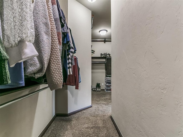 walk in closet featuring carpet floors