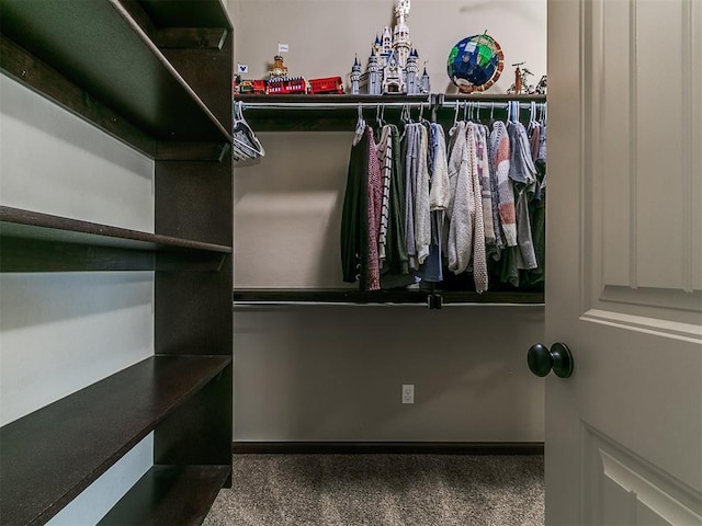 view of walk in closet