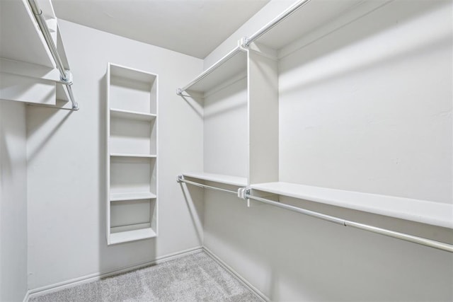 spacious closet featuring carpet flooring