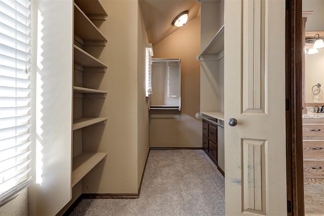 spacious closet with a sink and light carpet