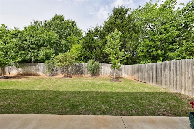 view of yard featuring a fenced backyard