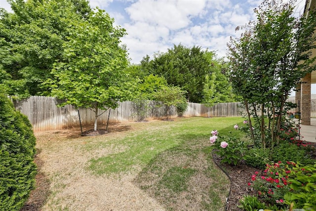 view of yard featuring a fenced backyard