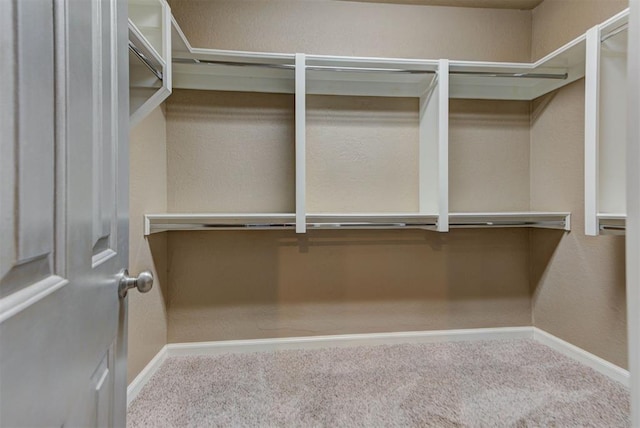 walk in closet with carpet