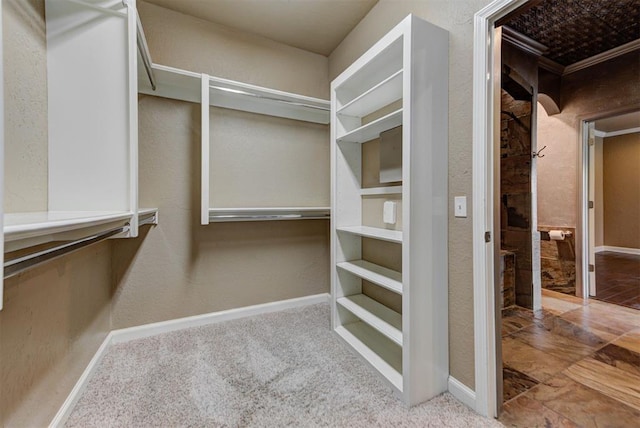 spacious closet with carpet